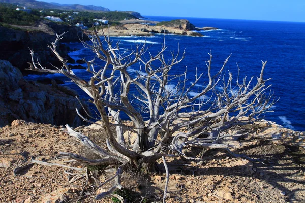 Vacker liten vik i ibiza, Balearerna ön, Spanien. — Stockfoto