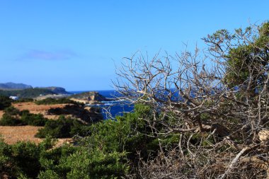 güzel küçük koyda Ibiza, baleares Adası, İspanya.