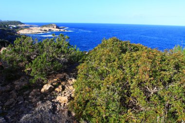 güzel küçük koyda Ibiza, baleares Adası, İspanya.