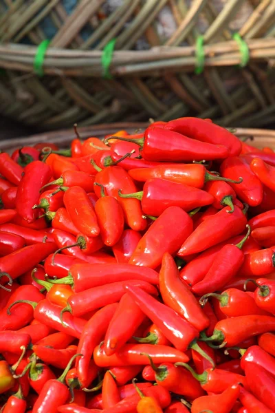 Rode paprica in traditionele plantaardige markt in india. — Stockfoto