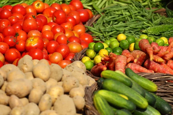 Varias verduras en el mercado de verduras. India — Foto de Stock