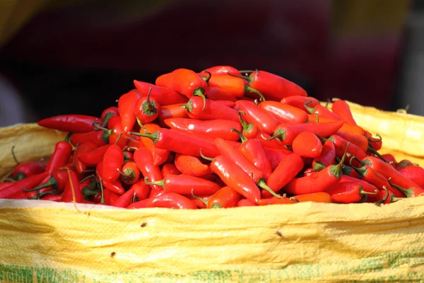 Páprica vermelha no mercado tradicional de vegetais na Índia . — Fotografia de Stock