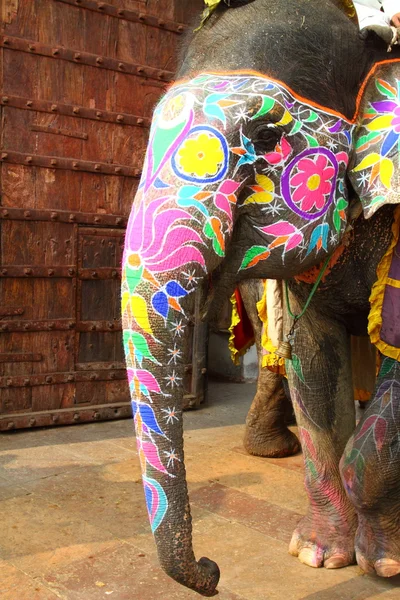 Elefánt. India, Jaipur, Rajasthan állam. — Stock Fotó
