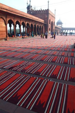 JAMA Mescidi, delhi, India