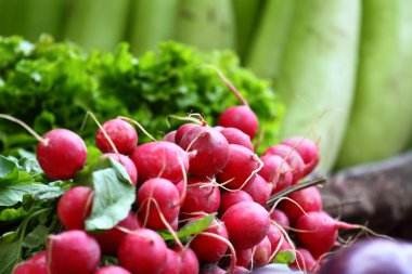 Various vegetables at vegetable market. India clipart