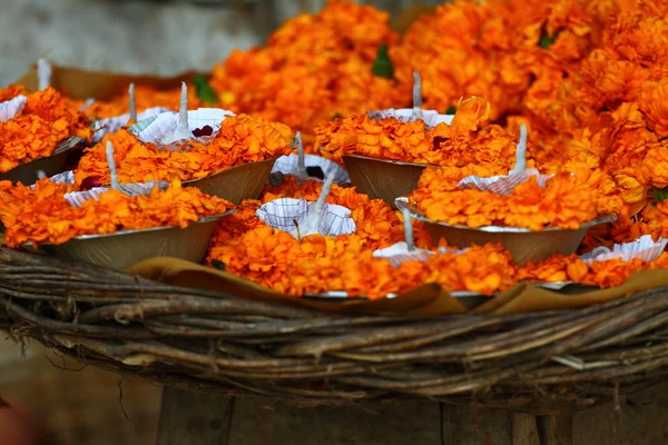 Floral arrangment for holi festival and religious offerings in india. — Stock Photo, Image