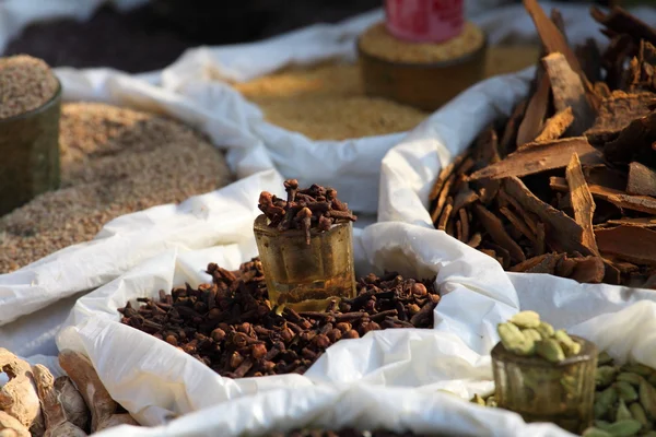 Traditionele kruiden-markt in india. — Stockfoto
