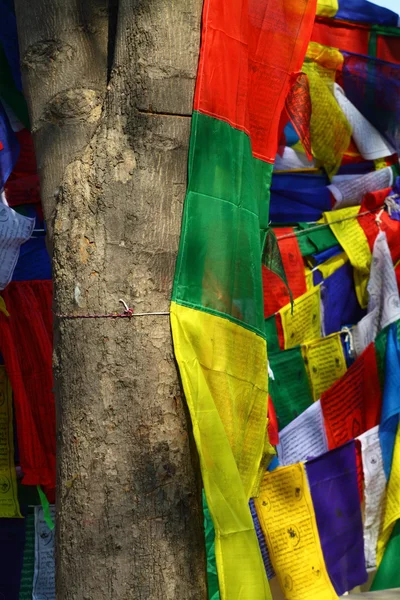 Bandiere di preghiera buddista — Foto Stock
