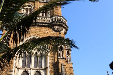 mumbai maharashtra stat içinde yer alan bir Devlet Üniversitesi üniversitesidir