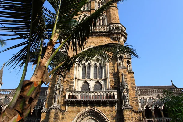 Die universität von mumbai ist eine staatliche universität in maharashtra stat — Stockfoto