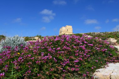 landsacpe adalar comino ve gozo