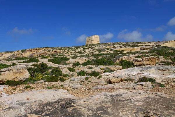 Landsacpe av öarna comino och gozo — Stockfoto