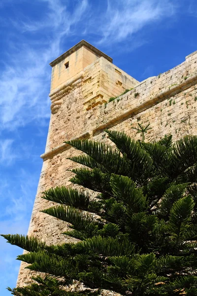 Widok twierdzy rabat (victoria) (gozo, wysp maltańskich) — Zdjęcie stockowe