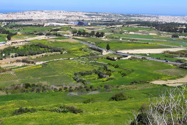 Landscape countryside scenery in Gozo, Malta, Mediterranean Sea — Stock Photo, Image
