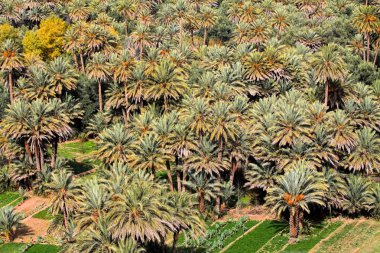 Fas Oasis. HDR görüntüsü.