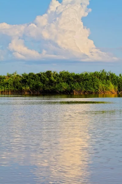 Amazon Riverbank. Imagen HDR —  Fotos de Stock