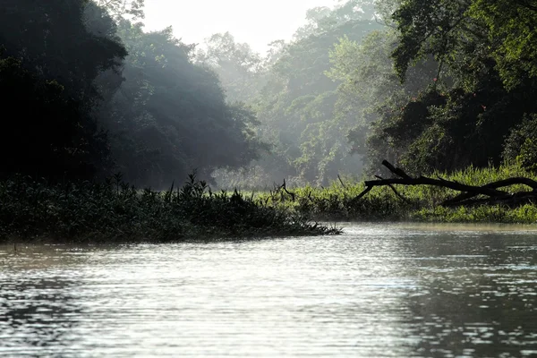 stock image Amazon Riverbank. HDR image