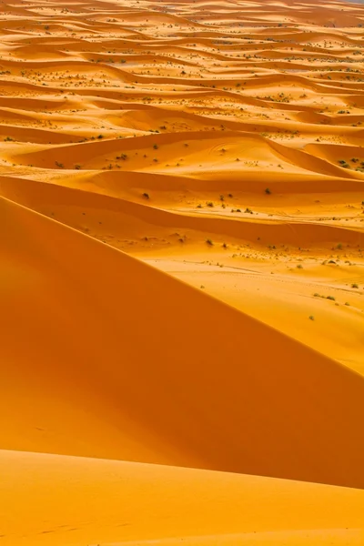 Deserto do Saara Marrocos. Imagem HDR — Fotografia de Stock