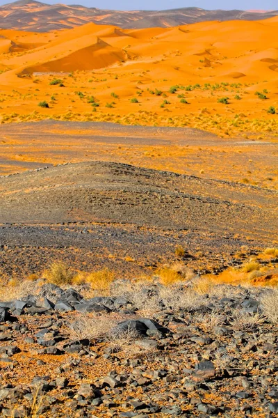 Marokko woestijn. HDR-afbeelding. — Stockfoto