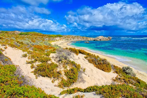 ऑस्ट्रेलिया में रॉटेस्ट द्वीप। HDR छवि — स्टॉक फ़ोटो, इमेज