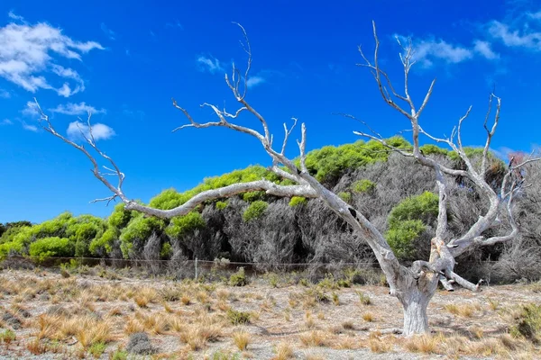 L'isola più arida d'Australia. Immagine HDR — Foto Stock