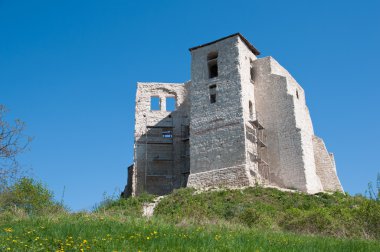 Kazimerz Castle clipart