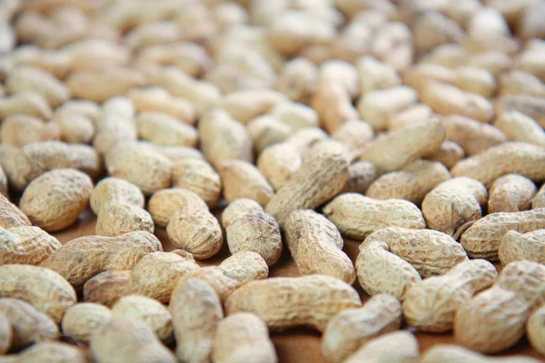 stock image Detail of peanuts