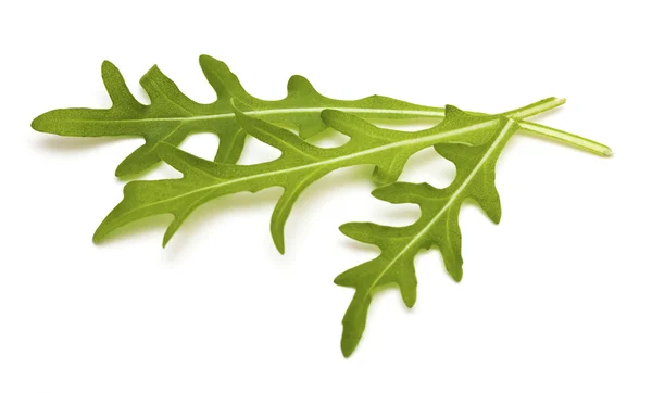 Fresh rucola leafs — Stock Photo, Image