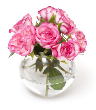 Pink roses in vase clipart