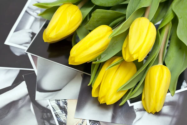 stock image Yellow tulips lying on black and white photographs