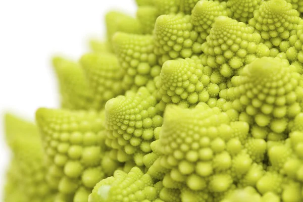 Romanesco broccolli — Stock fotografie