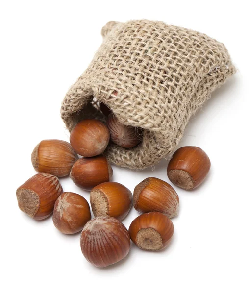 Hazelnuts falling from a miniature burlap sack isolated on white — Stock Photo, Image