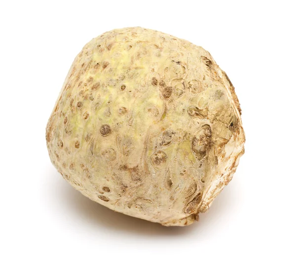 stock image Celery root