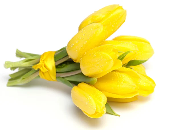 Завязанные желтые тюльпаны с капельками — стоковое фото