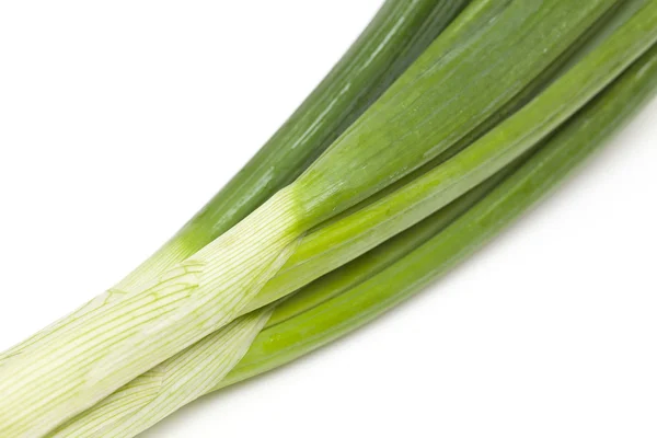 Spring onion close-up — Stock Photo, Image