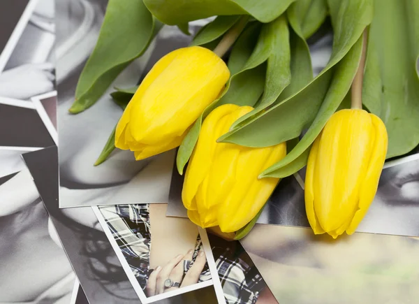 stock image Yellow tulips lying on black and white photographs