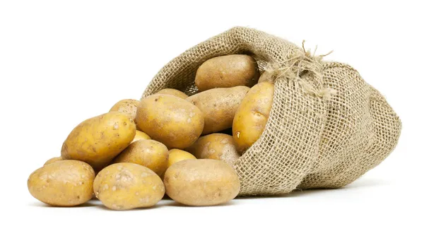 Aardappelen in jute zak — Stockfoto