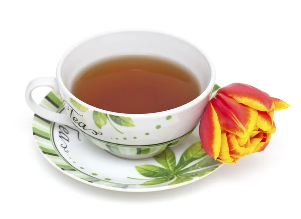 Cup of tea and tulip flower — Stock Photo, Image