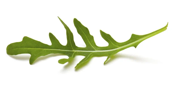 Rucola leaf — Stock Photo, Image