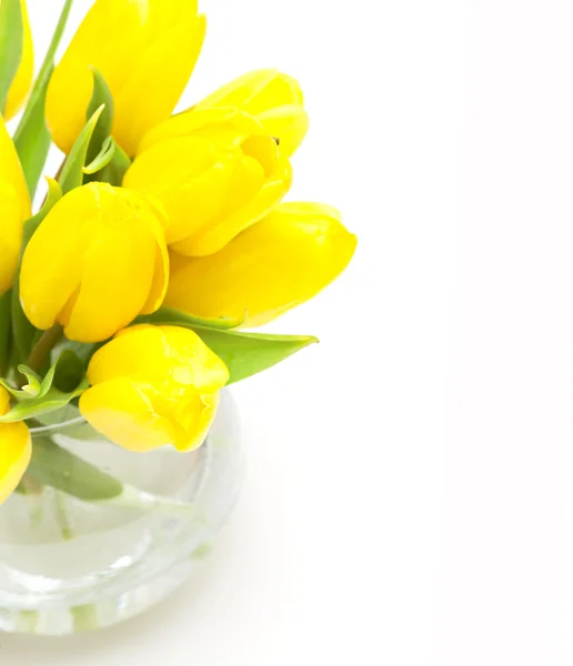 Yelllow tulips — Stock Photo, Image