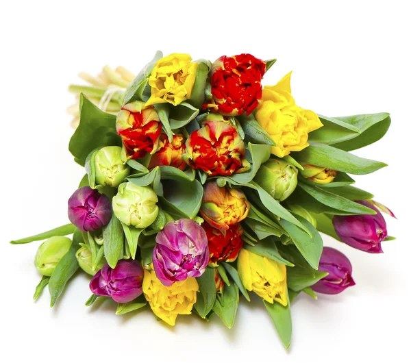 Piękny bukiet świeżych i kolorowe tulipany — Zdjęcie stockowe
