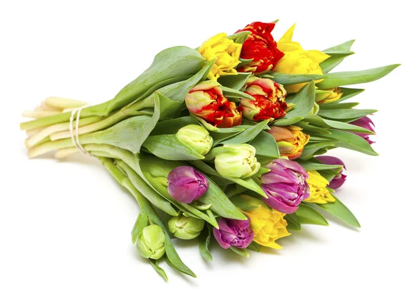 Mooi boeket van verse en kleurrijke tulpen — Stockfoto