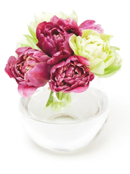 Krásné tulipány ve váze — Stock fotografie