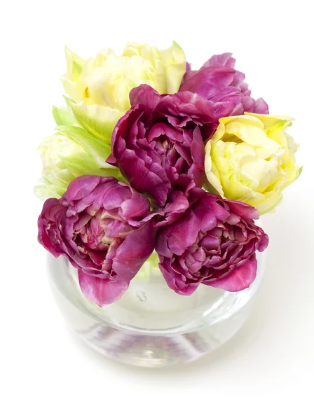 Красивые тюльпаны в вазе — стоковое фото