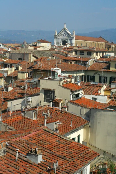 stock image Florence rooftops