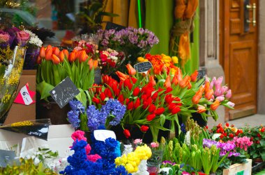 renkli çiçek pazarında