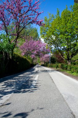 bahar bisiklet yolu