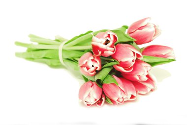 Bunch of pink tulips clipart