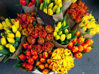 Tulips on flower market clipart