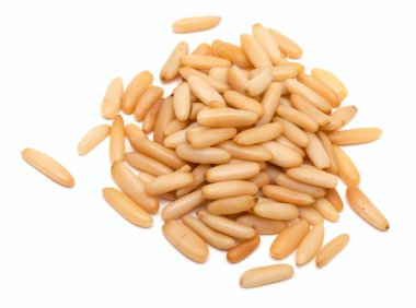 Pine nuts clipart